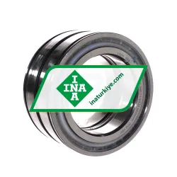 INA SL045018-D-PP-2NR-C3-GA22