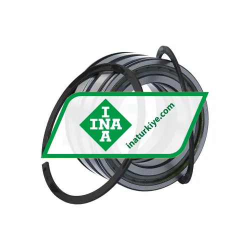 INA SL045010-PP-2NR-C3-L091 ürün fotoğrafı 3