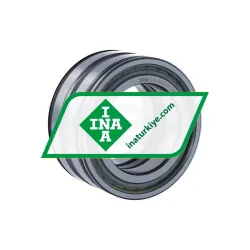 INA SL045010-PP-2NR-C3-L091