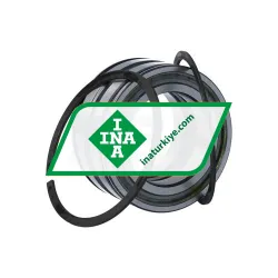 INA SL045010-PP-2NR-C3-L091 rulman resim 3