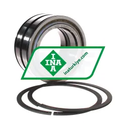 INA SL045016-D-PP-2NR rulman resim 2