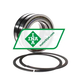 INA SL045016-D-PP-2NR rulman resim 4