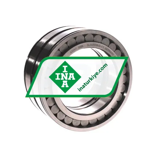 INA SL045018-D-C3