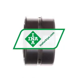 INA SL185007-A-C3 rulman resim 2
