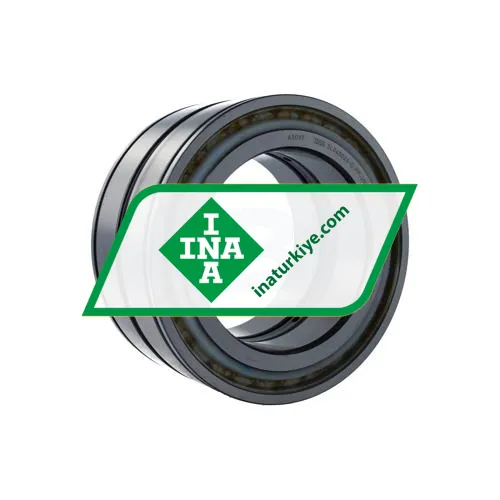 INA SL045026-D-PP-2NR-C3