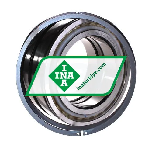 INA SL045022-D-PP-2NR