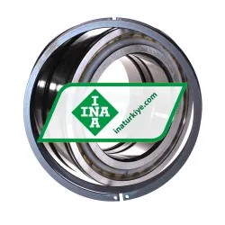 INA SL045022-D-PP-2NR