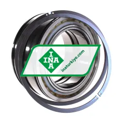 INA SL045022-D-PP-2NR rulman resim 3