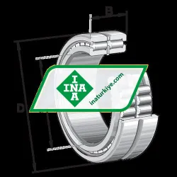 INA SL185005-A-C3 rulman resim 2
