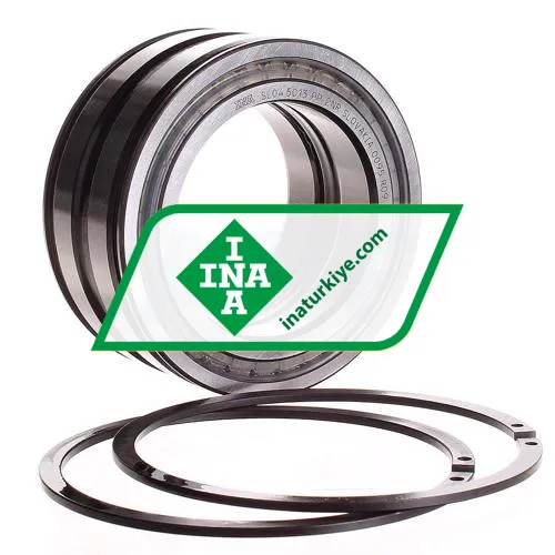 INA SL045013-PP-2NR