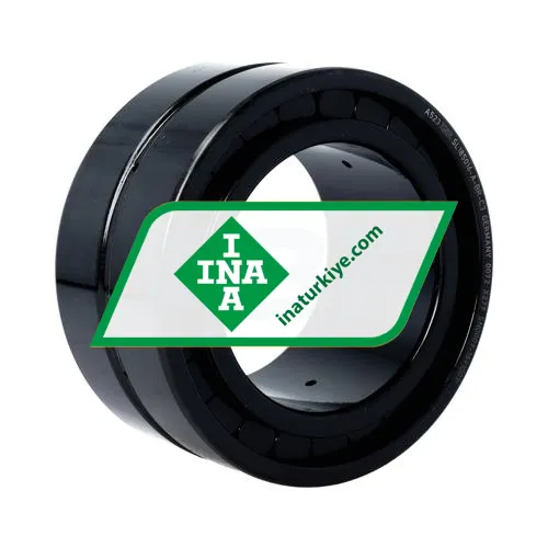 INA SL185016-A-BR-C3