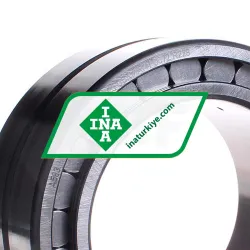 INA SL185024-A-C3 rulman resim 2