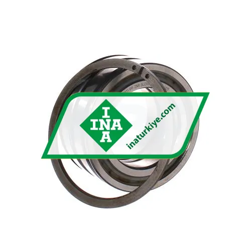 INA SL045011-PP-2NR