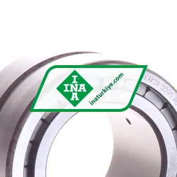 INA SL185008-A-C3 rulman resim 2