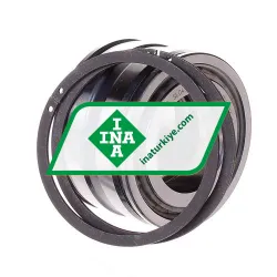 INA SL045006-PP-2NR rulman resim 2