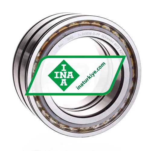 INA SL045018-D-PP