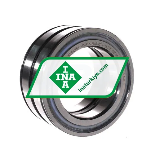 INA SL045017-D-PP-2NR-C3-GA22