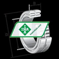 INA SL014930-A-C5-GA22