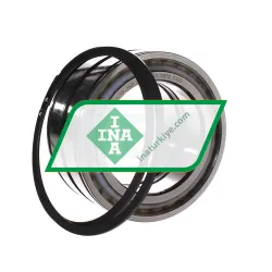 INA SL045019-D-PP-2NR