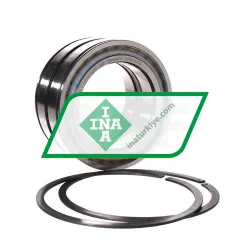 INA SL045019-D-PP-2NR rulman resim 2