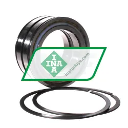 INA SL045019-D-PP-2NR rulman resim 4