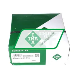 INA SL045019-D-PP-2NR rulman resim 5