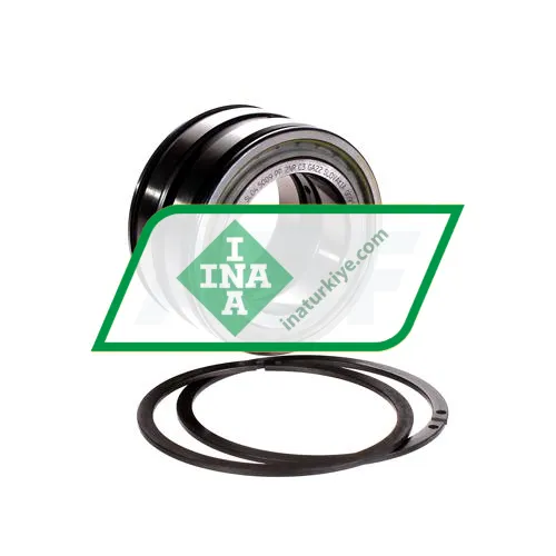 INA SL045009-PP-2NR-C3-GA22