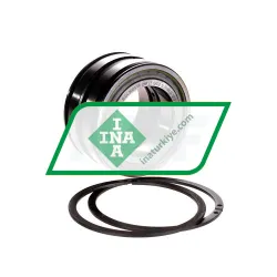 INA SL045009-PP-2NR-C3-GA22