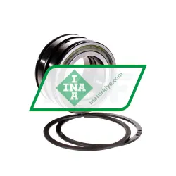 INA SL045009-PP-2NR-C3-GA22 rulman resim 2