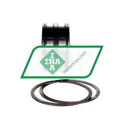 INA SL045009-PP-2NR-C3-GA22 rulman resim 3