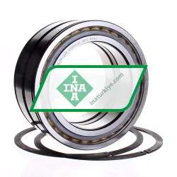 INA SL045024-D-PP-2NR