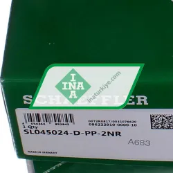 INA SL045024-D-PP-2NR rulman resim 5