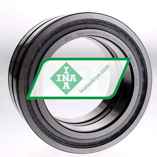 INA SL045024-D-PP-2NR-C3
