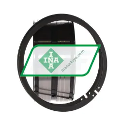 INA SL045017-D-PP-2NR rulman resim 2