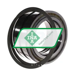 INA SL045017-D-PP-2NR rulman resim 3
