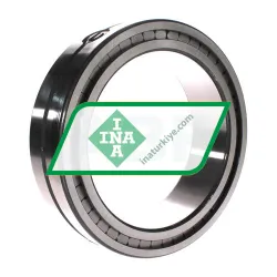 INA SL014934-A rulman resim 2