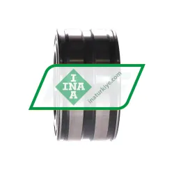 INA SL045009-PP rulman resim 2