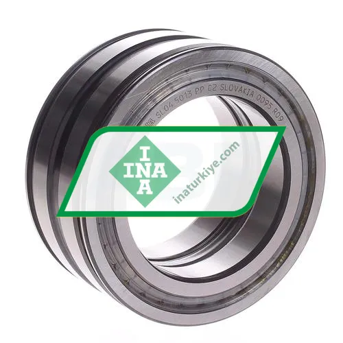 INA SL045013-PP-C2