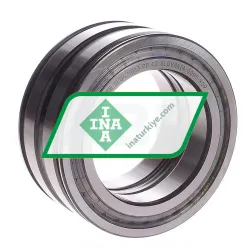 INA SL045013-PP-C2