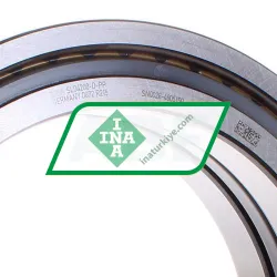 INA SL04200-D-PP rulman resim 2