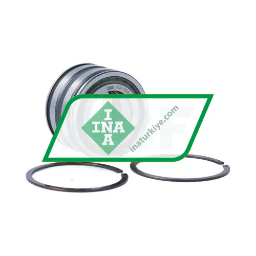 INA SL045006-PP-2NR-C3-L091