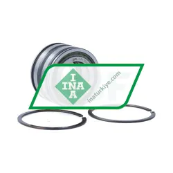 INA SL045006-PP-2NR-C3-L091