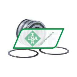 INA SL045006-PP-2NR-C3-L091 rulman resim 2