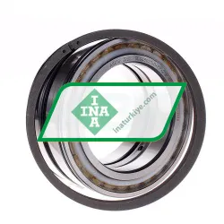 INA SL045020-D-PP-2NR