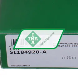 INA SL184920-A rulman resim 5
