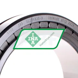 INA SL184930-A rulman resim 2