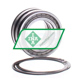 INA SL045009-PP-2NR