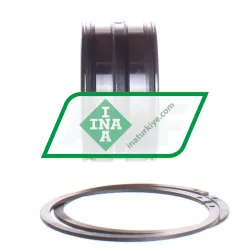 INA SL045009-PP-2NR rulman resim 2
