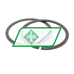 INA SL045008-PP-2NR-C2 rulman resim 2