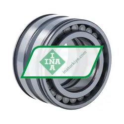 INA SL045008-C4 rulman resim 2